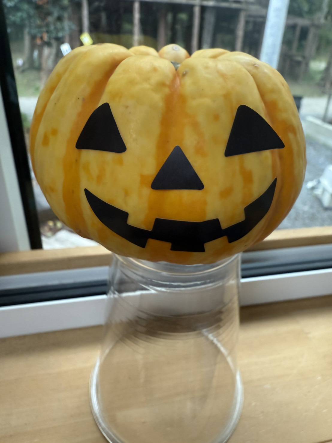 🎃 ＨＡＰＰＹ　ＨＡＬＬＯＷＥＥＮ👻page-visual 🎃 ＨＡＰＰＹ　ＨＡＬＬＯＷＥＥＮ👻ビジュアル