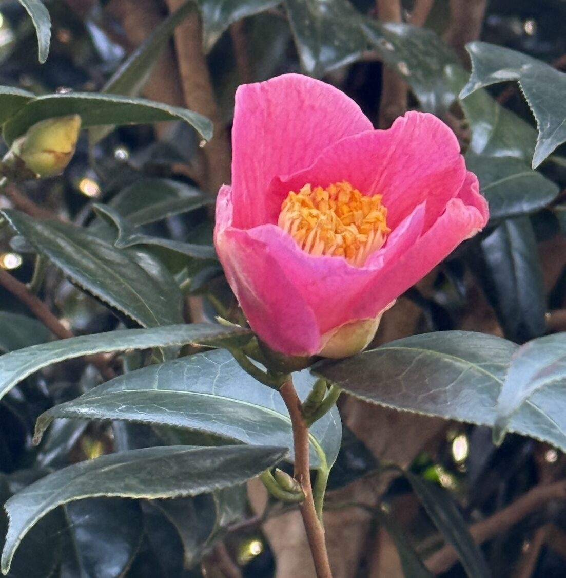 あっという間に12月page-visual あっという間に12月ビジュアル