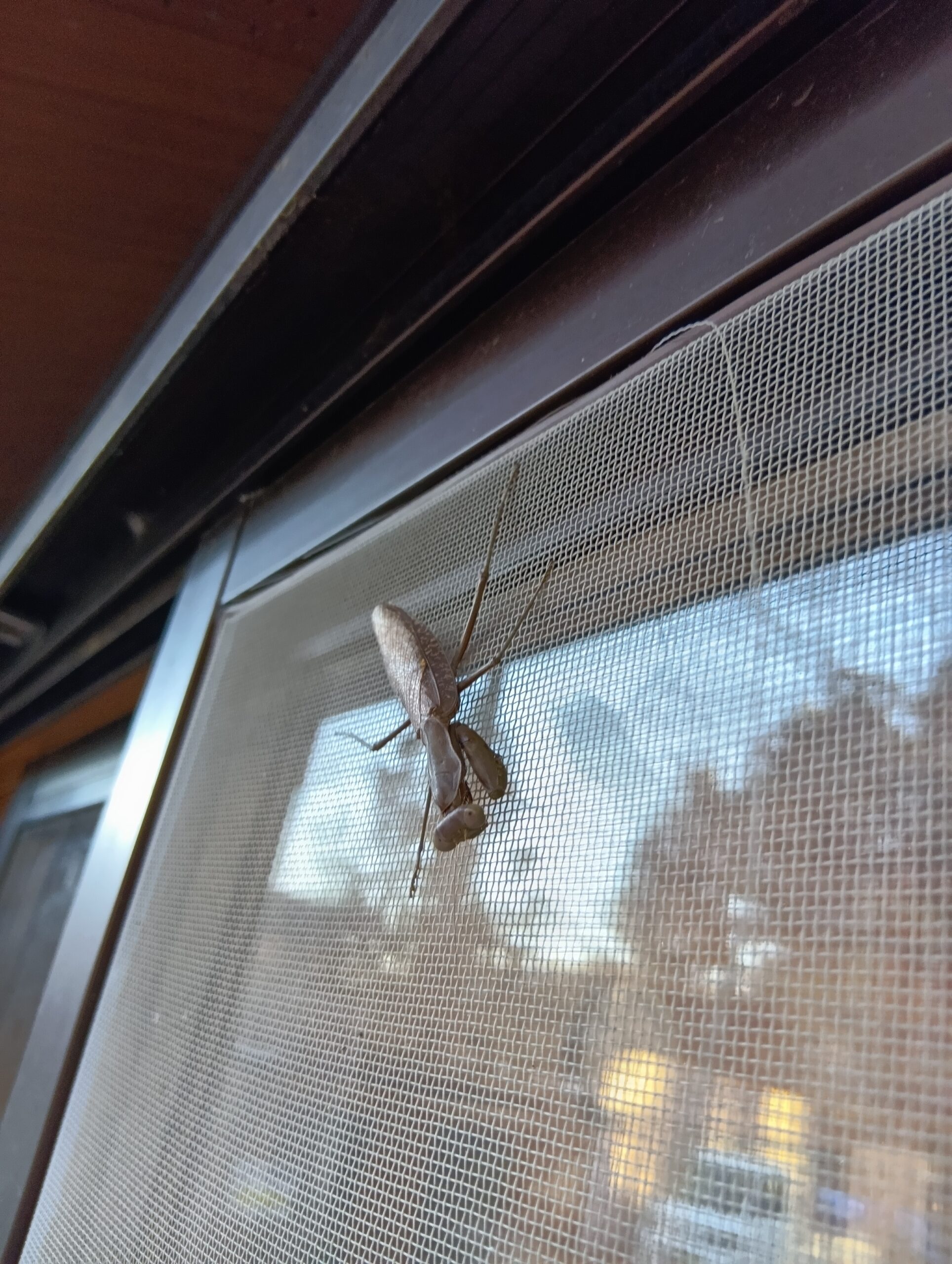 寒いね～page-visual 寒いね～ビジュアル