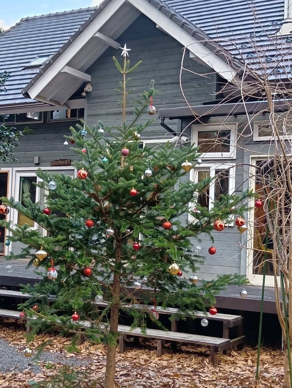 クリスマスがすぐそこまで、、、page-visual クリスマスがすぐそこまで、、、ビジュアル