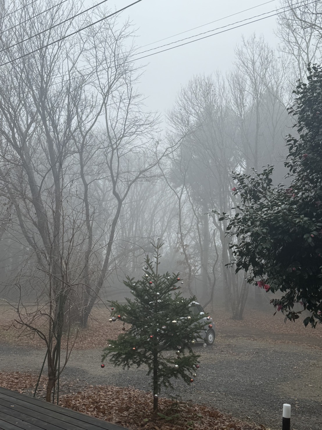 🎅クリスマス🎄page-visual 🎅クリスマス🎄ビジュアル