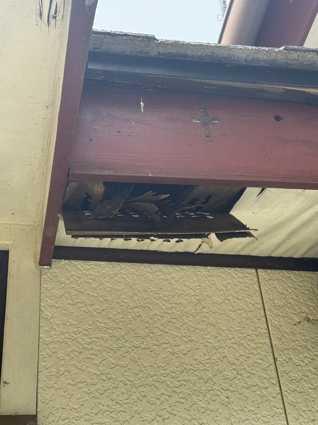 🐁鹿嶋市・H様邸🦝のイメージ画像